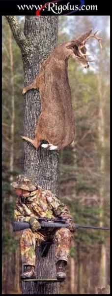 biche